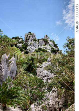 大石林山 大石林山 5555435