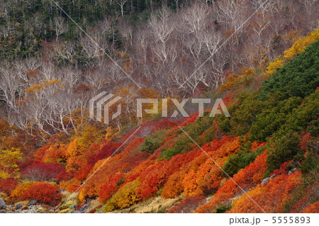 秋の乗鞍岳 5555893