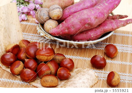 秋の味覚 秋の味覚 5555921
