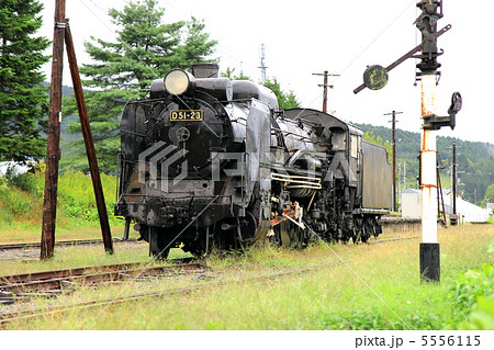 D51 振内駅跡にて D51 振内駅跡にて 5556115