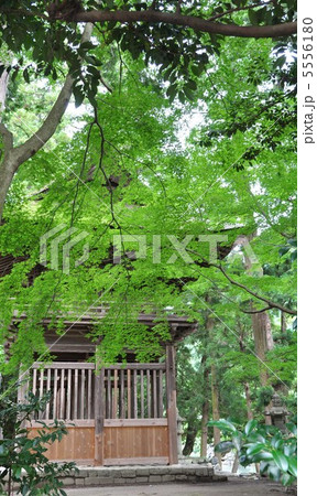 洲原神社 5556180