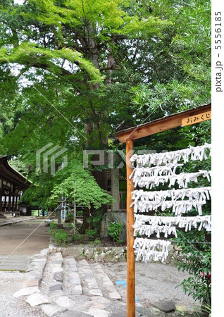 洲原神社 5556185