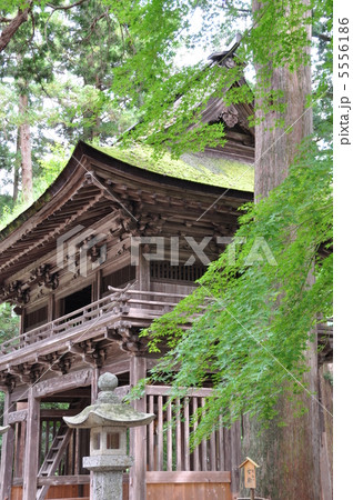洲原神社 5556186
