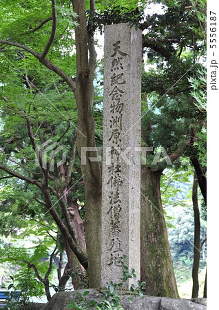 洲原神社 5556187