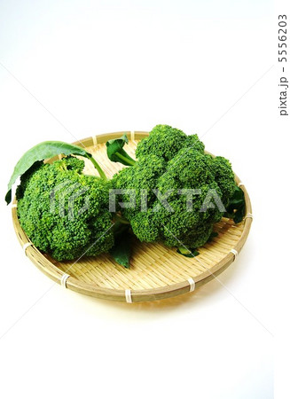竹笊にブロッコリー2個・縦位置白バック 竹笊にブロッコリー2個・縦位置白バック 5556203
