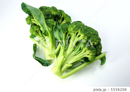 花雷 からい を食べる花菜ブロッコリー2個 横位置白バックの写真素材