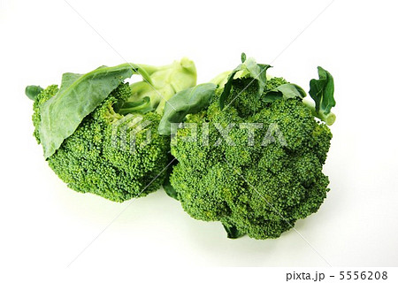 花雷（からい）を食べる花菜ブロッコリー2個・横位置白バック 5556208
