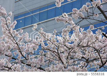 入社イメージ 5556316