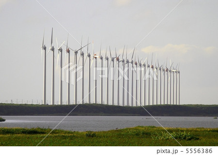 オトンルイ風力発電所 オトンルイ風力発電所 5556386