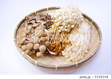 竹笊にキノコ4種・榎茸、ブラウン榎、ブナシメジ、舞茸・横位置白バック 竹笊にキノコ4種・榎茸、ブラウン榎、ブナシメジ、舞茸・横位置白バック 5556549