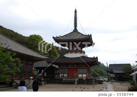 広島浄土寺多宝塔 広島浄土寺多宝塔 5556744