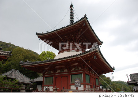 広島浄土寺多宝塔 5556745
