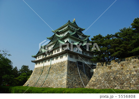 名古屋城天守閣 5556808