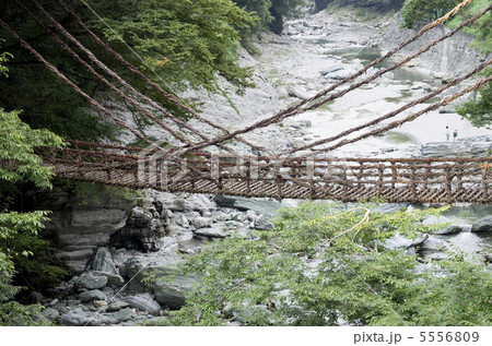 かずら橋 5556809