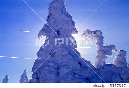 飛行機雲と樹氷 5557317