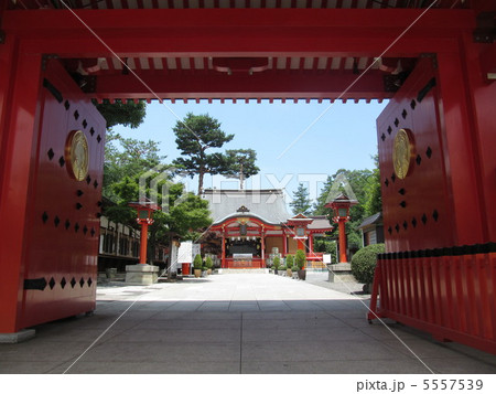 東伏見稲荷神社 5557539