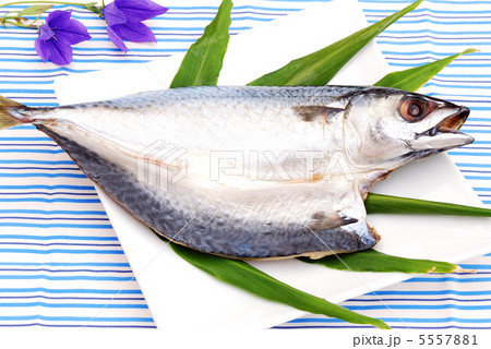 魚の開き 魚の開き 5557881
