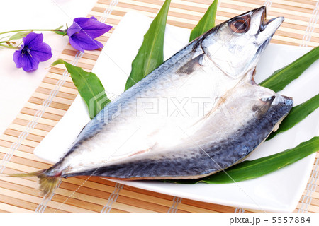 魚の開き 魚の開き 5557884