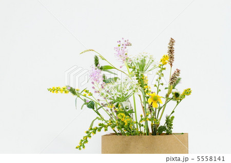 初秋の野の花のアレンジ 初秋の野の花のアレンジ 5558141
