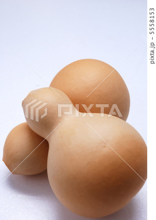 瓢箪 瓢箪 5558153