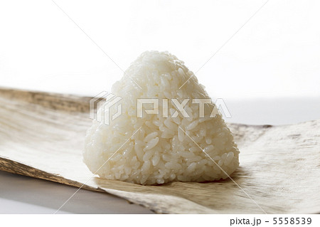 塩むすび 塩むすび 5558539