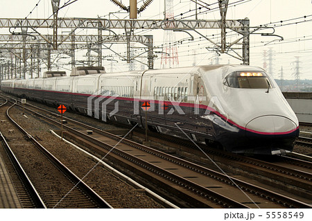 東北新幹線　E2系1000番台　はやて　やまびこ 5558549