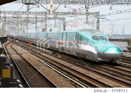 東北新幹線　E5系はやて+E3系こまち 5558551