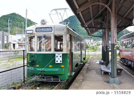 路面電車 モ593号 路面電車 モ593号 5558829