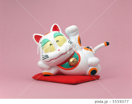 寝まねきねこ 寝まねきねこ 5559377