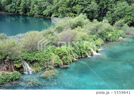 滝と緑の湖沼群 5559641