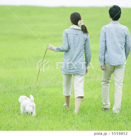 草原で犬の散歩をするカップルの後姿の写真素材