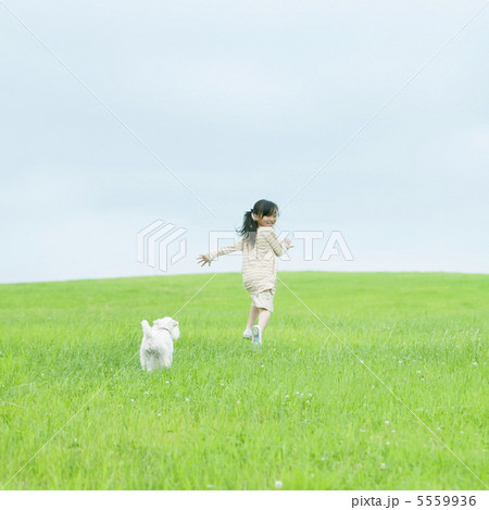草原で子犬と一緒に走る女の子 5559936