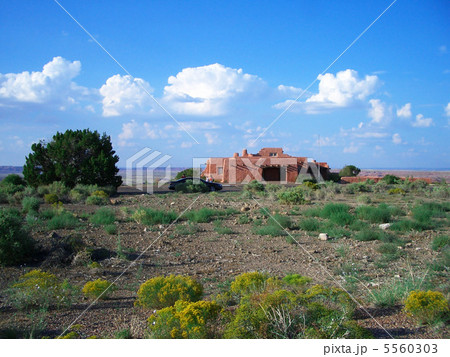 ペトリファイド・フォレスト ペトリファイド・フォレスト 5560303