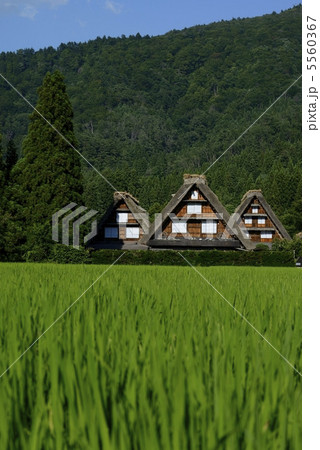 白川郷 白川郷 5560367