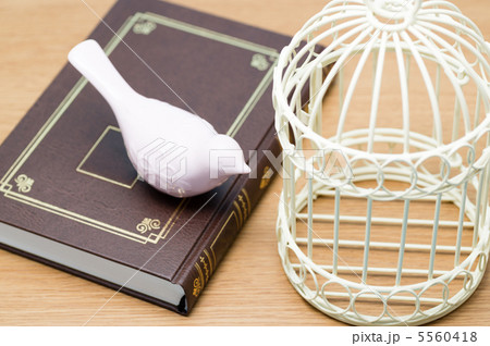 本の上の小鳥と鳥篭 5560418