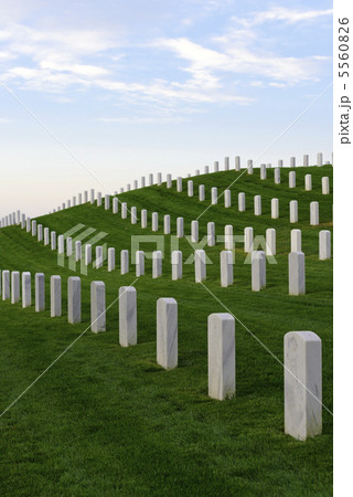 Military Cemetery 米国 国立墓地 Military Cemetery 米国 国立墓地 5560826