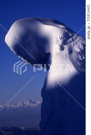 人型をした面白い形の樹氷 5561445