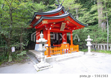 箱根神社　九頭龍神社新宮 5561563