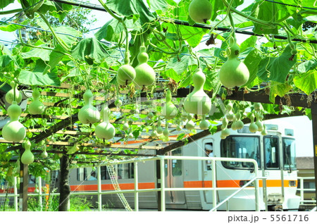 御殿場線上大井駅のひょうたん 御殿場線上大井駅のひょうたん 5561716