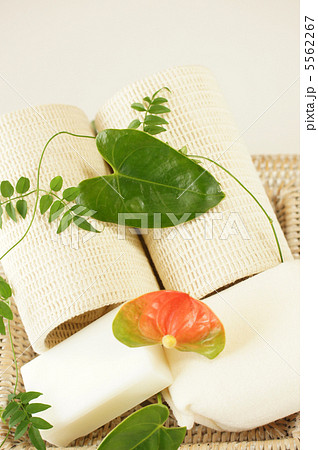 バス用品 バス用品 5562267