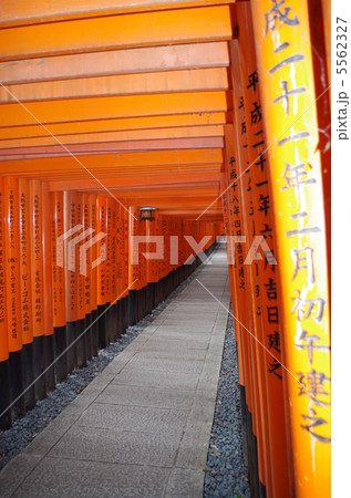 伏見稲荷の千本鳥居 伏見稲荷の千本鳥居 5562327