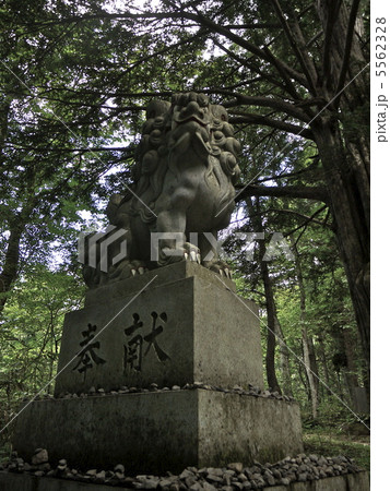 戸隠神社の狛犬 5562328
