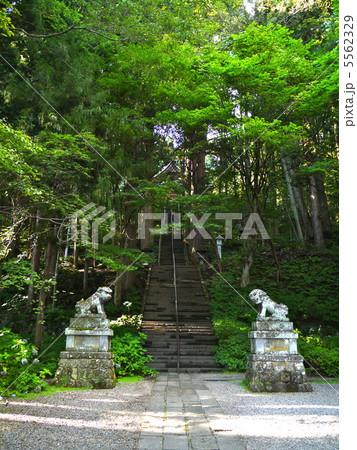 戸隠神社宝光社 戸隠神社宝光社 5562329