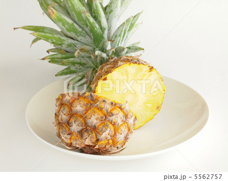 パイナップル パイナップル 5562757