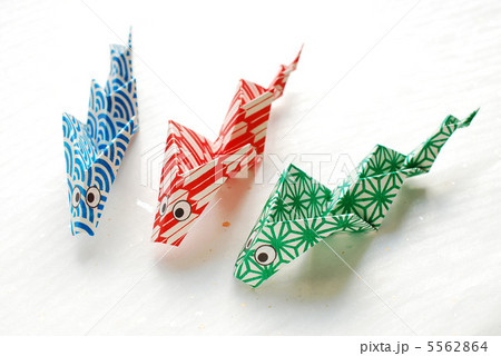 赤蛇青蛇緑蛇 5562864