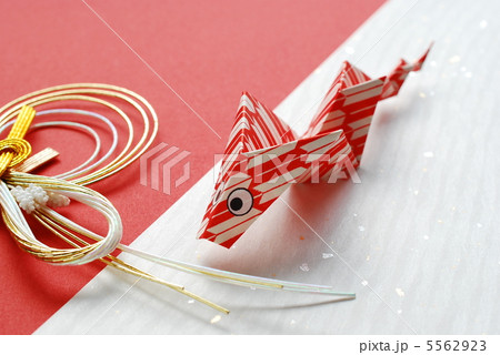 蛇と水引き 5562923