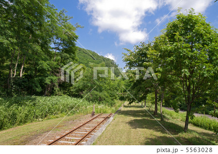 万字線跡 5563028
