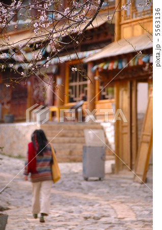 中国・雲南省 香格里拉(シャングリラ) 中国・雲南省 香格里拉(シャングリラ) 5563136