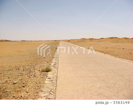 中国・敦煌　シルクロード 5563149