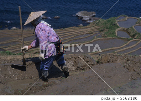 母の日 母の日 5563180